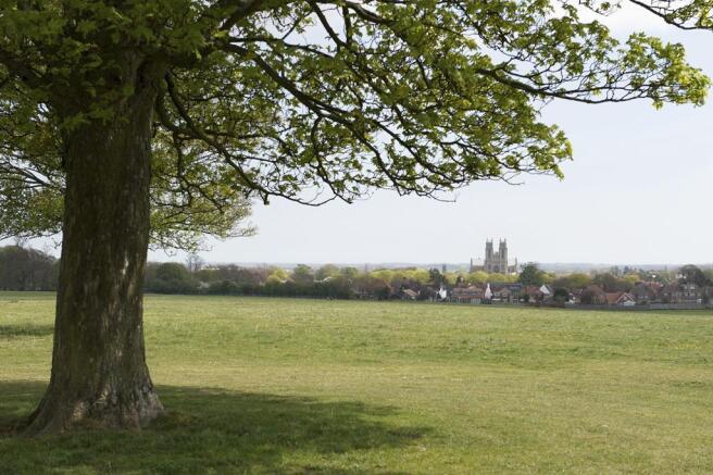 The Meadows 