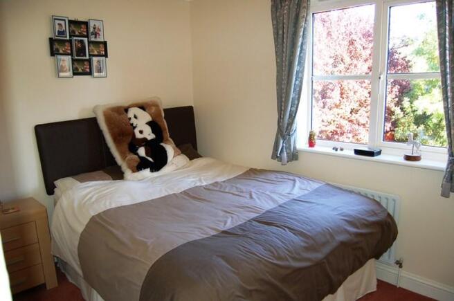 Photo 8