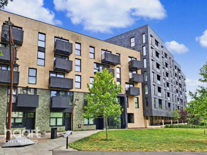 Burgess Springs, Chelmsford