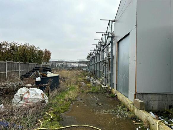 Ivanhoe Nurseries, Ironwell Lane, Hockley, SS5 4JY photo 5
