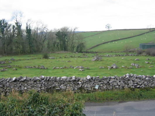 View to the front