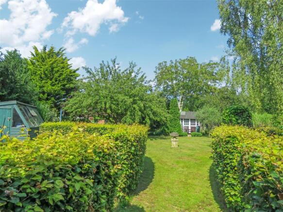 Garden 9.JPG