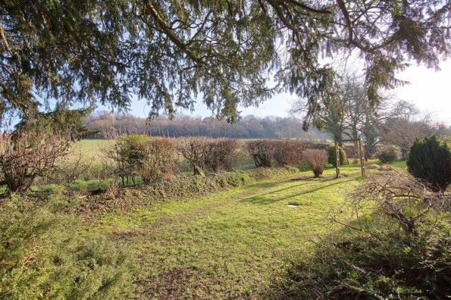 Garden with View