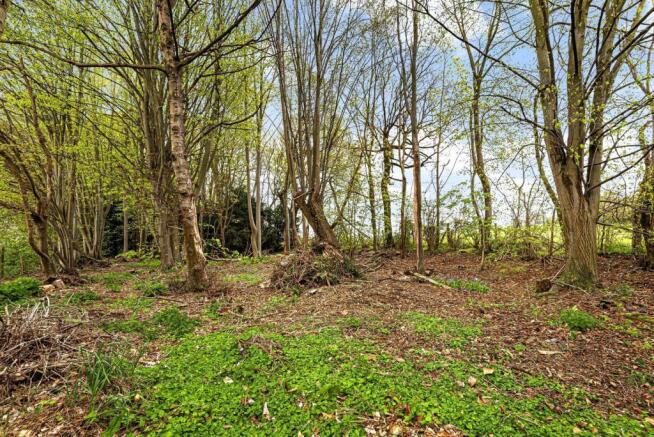 Woodland