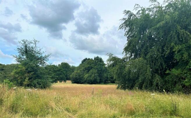 Peppard Common