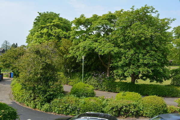 Photo 19