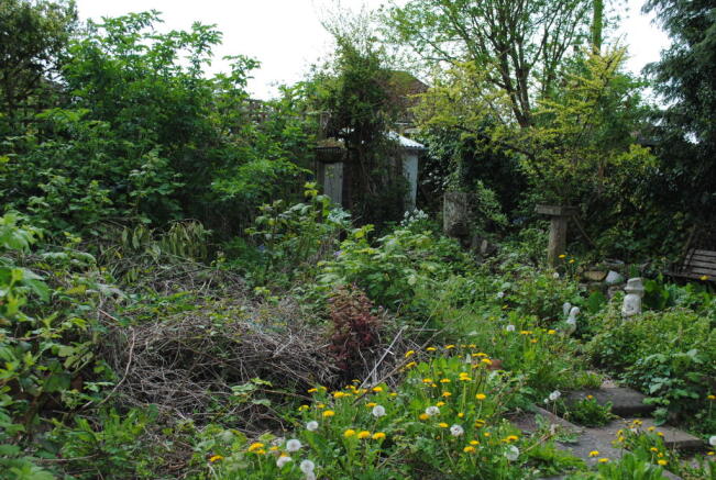 Photo 12