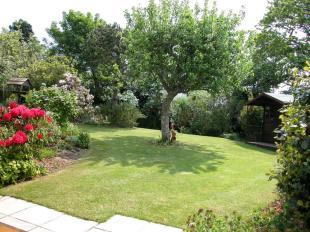 GARDEN 3
