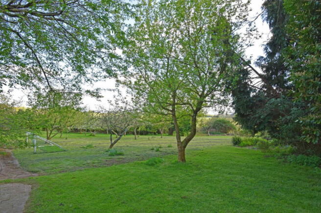 Photo 43
