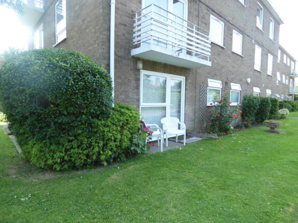 Photo 5