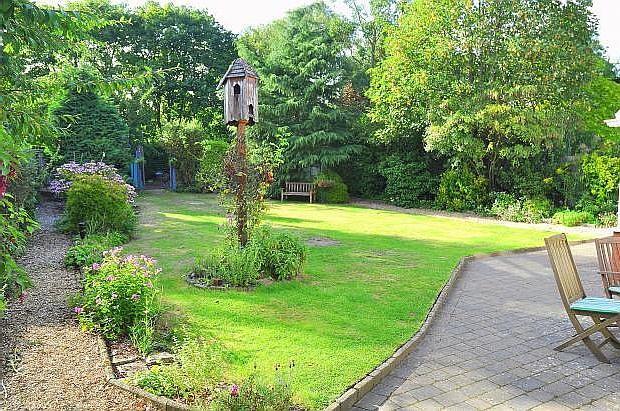 garden