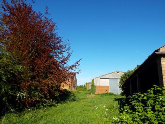 Land / Outbuildings