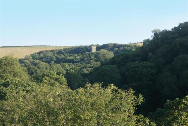 view to use.jpg