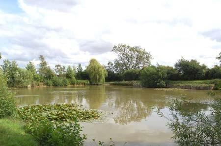 Pond