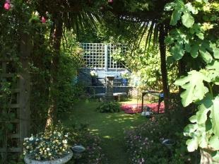 Garden 2