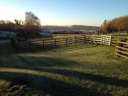 Field