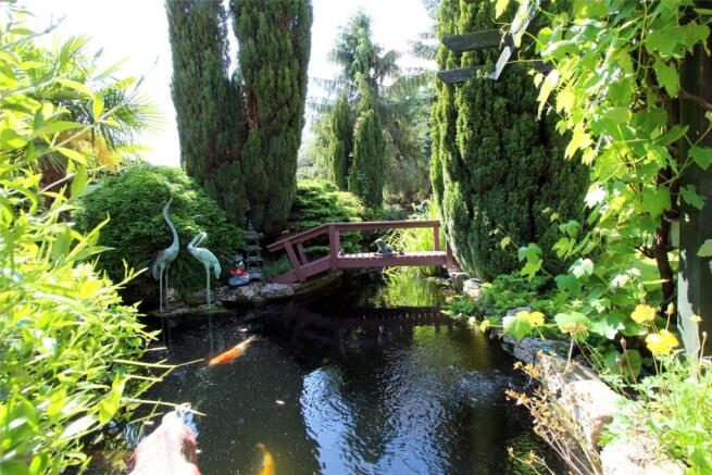 Pond