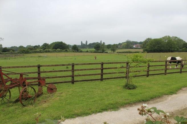 View Beyond Rear Garden