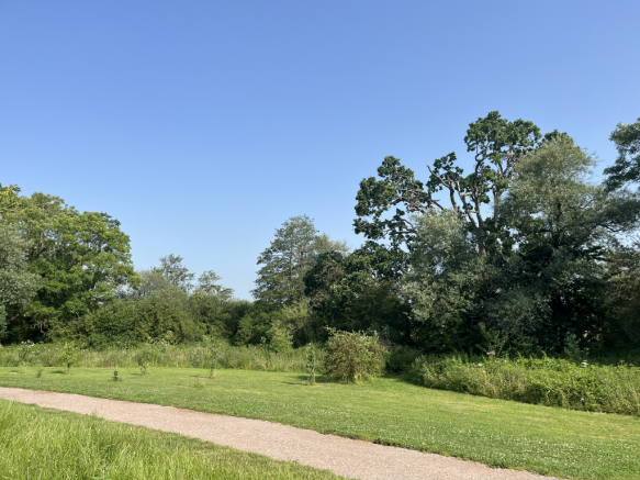 Country Park