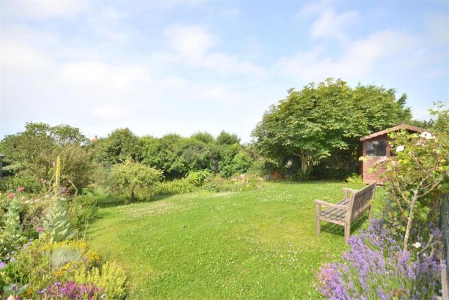 Back garden.JPG