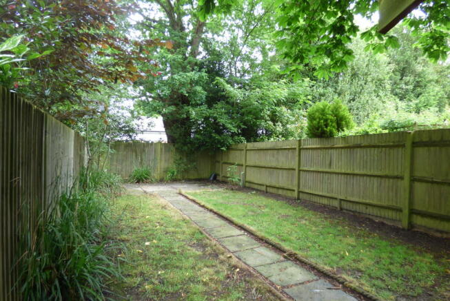 Photo 5
