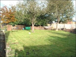 Garden 1
