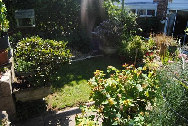 Photo 4