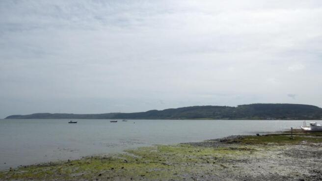 The Bay