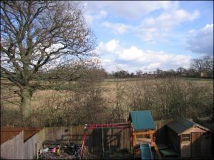 View from garden
