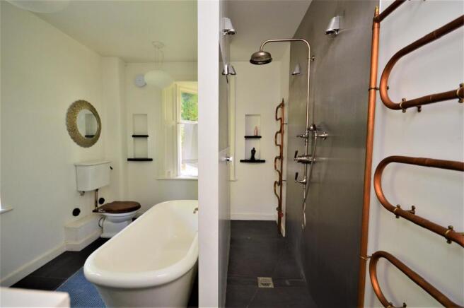 Bathroom 2 Mouse.JPG