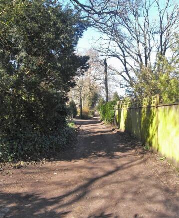 Leafy lane 