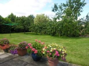 Garden 2