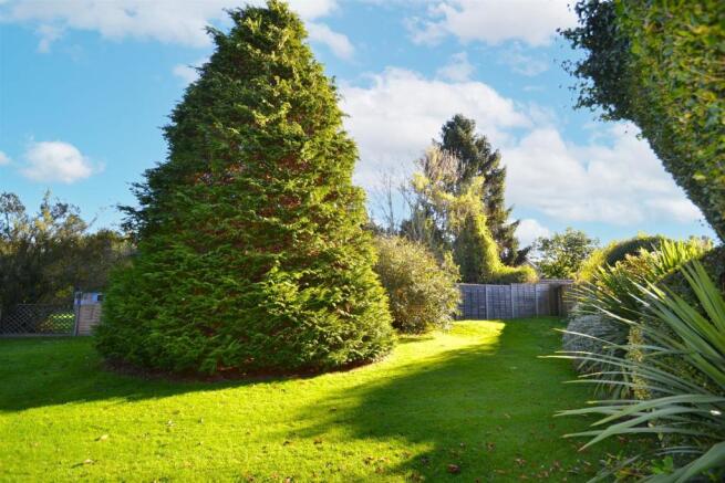 New Rear of Garden.jpg