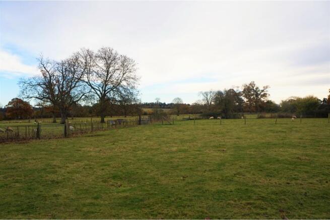 Rear View