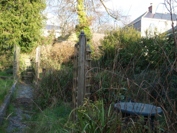 Photo 7