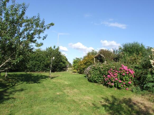 Photo 22