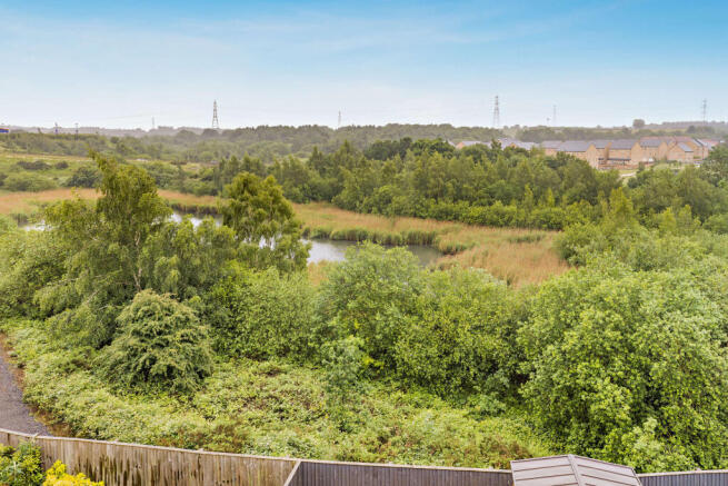Waterside and woodland views