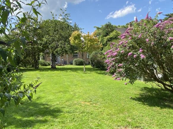 rear garden 4.jpg