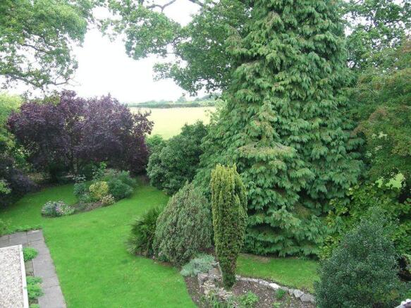 View from Bedr...