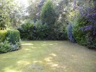 garden 2