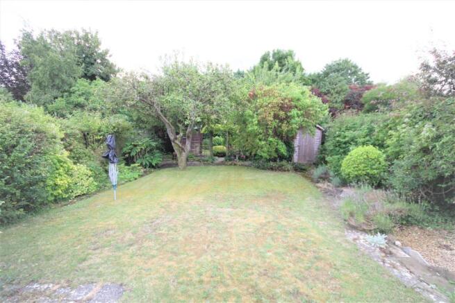 garden x 2.jpg
