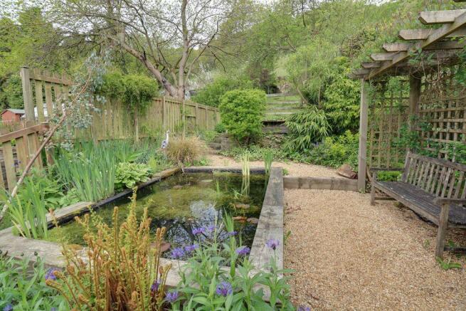 Garden at Back