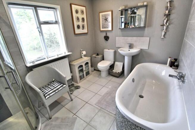 Bath Shower View 1