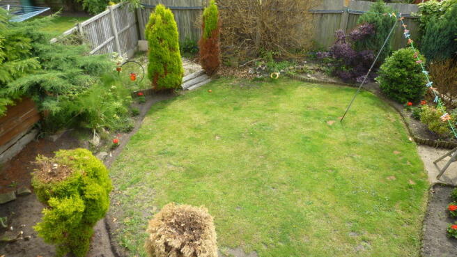 Photo 34