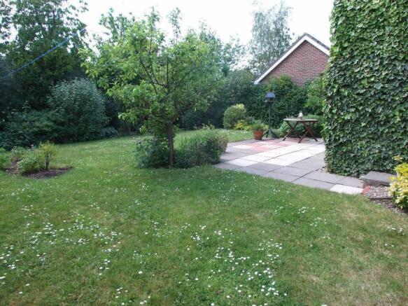 Photo 11