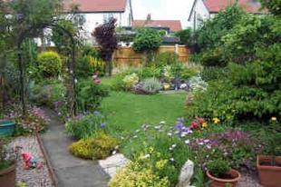 garden