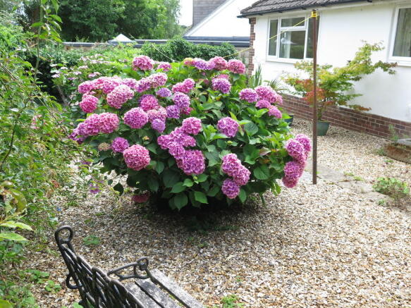 Photo 10