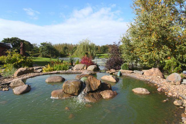 pond