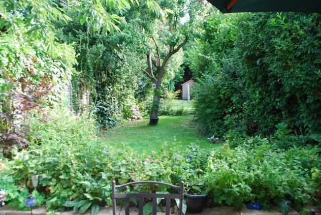 Photo 10