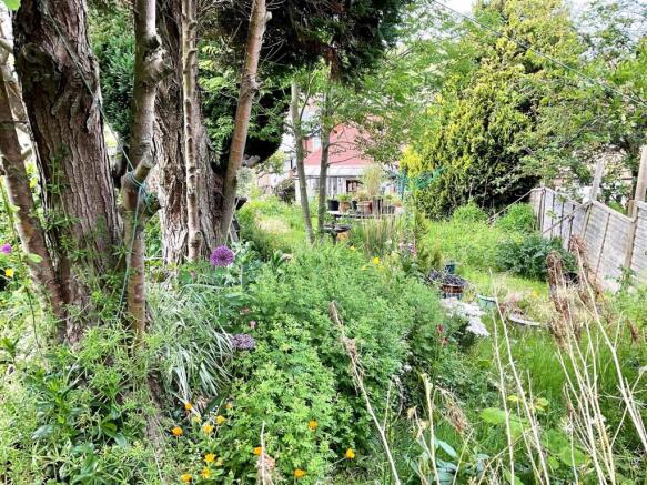 Garden1.jpg